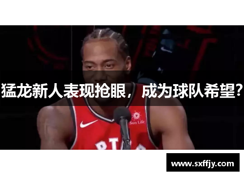 猛龙新人表现抢眼，成为球队希望？